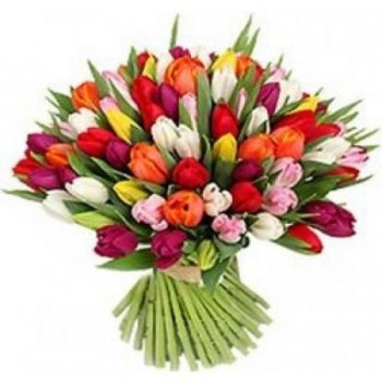 Bouquet of Tulips 51 pcs