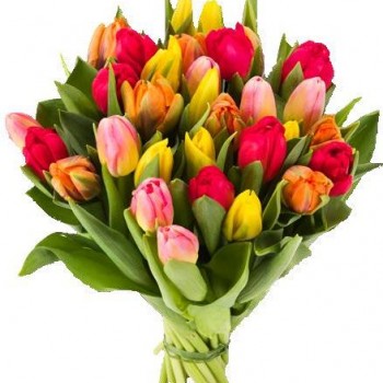 Dažādu krāsu tulpes