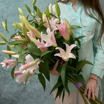 Pink lilies