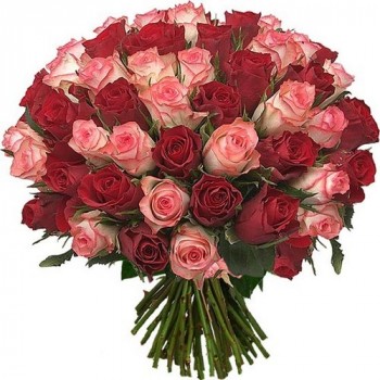 Sarkanas un rozā rozes 40 cm (41 gab)