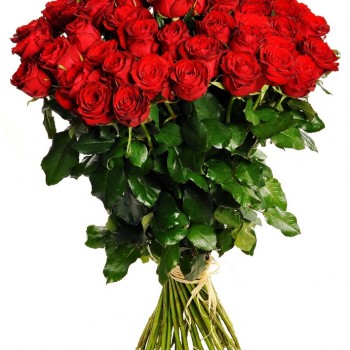 51 длинная красная роза 70 см