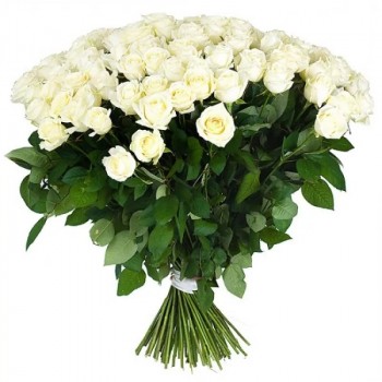 101 white long rose 70 cm