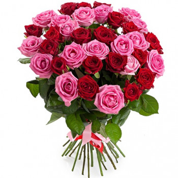 Red and pink roses 50 cm (variable quantity of flowers)