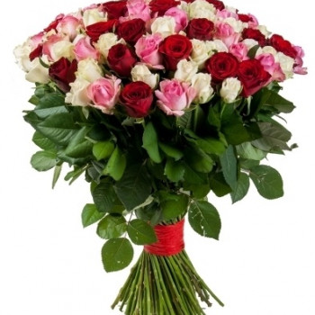 51 красная, белая и розовая роза 70 см