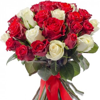 31 Sarkana un balta roze 40 cm