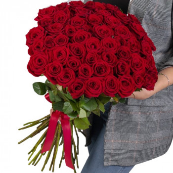 51 long red rose 70 cm