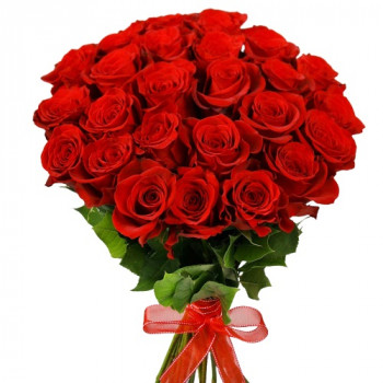Букет красных роз 40 см (количество цветов на выбор)