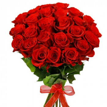 Sarkanas rozes 40 cm (25 rozes)