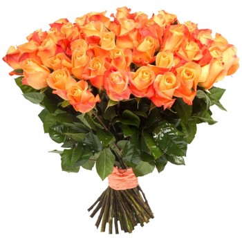51 orange rose 50 cm
