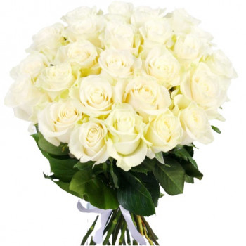 25 Baltas rozes 40 cm 