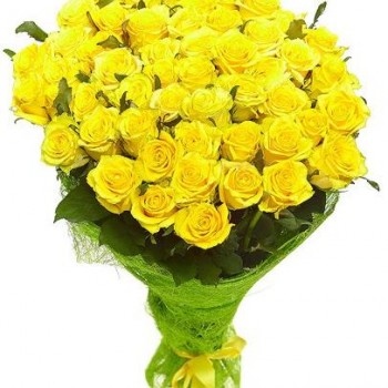 51 yellow rose 50 cm