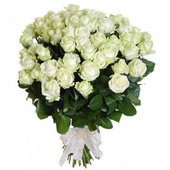 51 white rose 50 cm