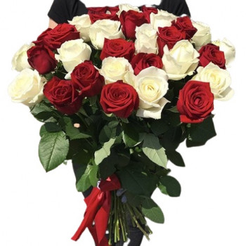 Garas sarkanas un baltas rozes 70 cm (31 roze)