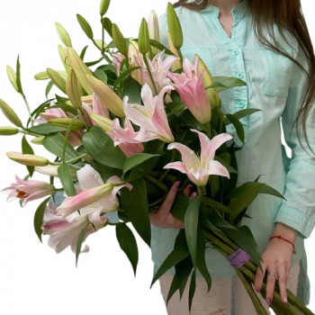 5 rozā lilijas
